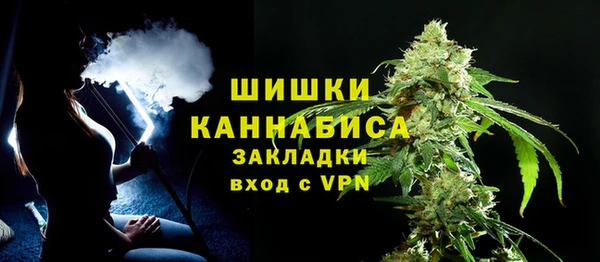 шишки Пересвет