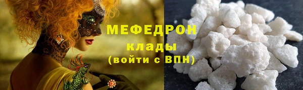 индика Богданович
