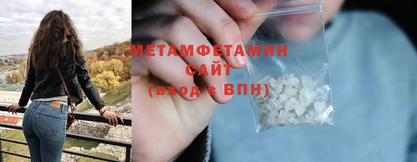 шишки Пересвет