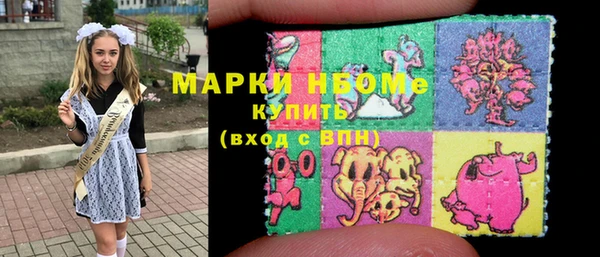 индика Богданович