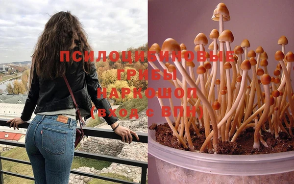 хмурый Богородицк