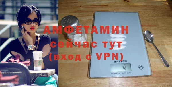 индика Богданович
