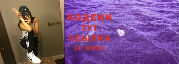 индика Богданович
