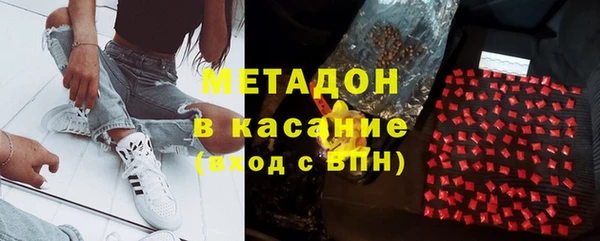 индика Богданович